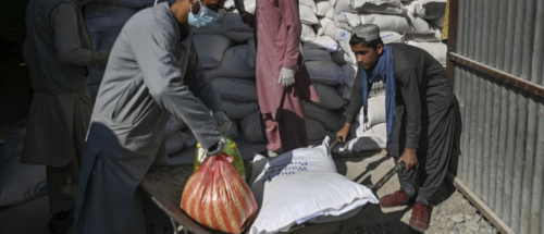 Zurück zum Thema | Hungersnot – Wie bekämpft man Hunger in Afghanistan? | detektor.fm – Das Podcast-Radio