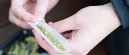 Ein Jahr Legalisierung: Die Bubatz-Bilanz
