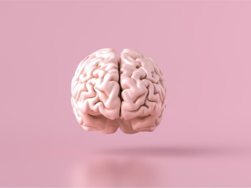Spektrum-Podcast | Kognitive Flexibilität – Wie das Gehirn schön geschmeidig bleibt | detektor.fm – Das Podcast-Radio