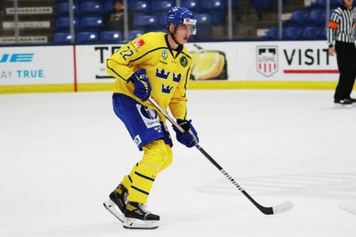 Wallinder Progressing in Debut Season in Grand Rapids (+)