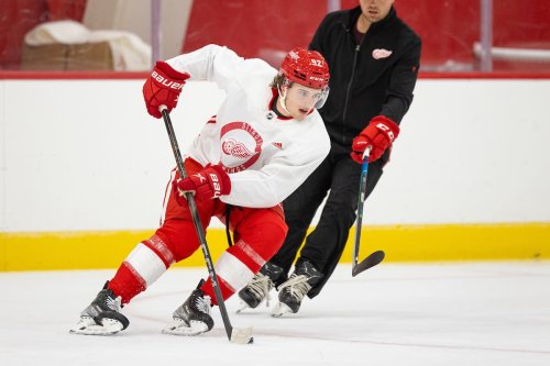 Red Wings Kasper Leads Austria to Huge Victory