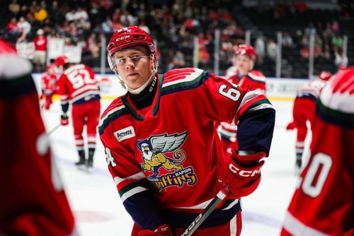 Red Wings Prospects Taking Worlds by Storm