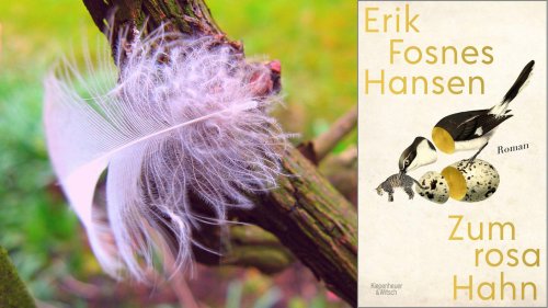 Erik Fosnes Hansen: „Zum rosa Hahn“ - Die große Mäuseverschwörung