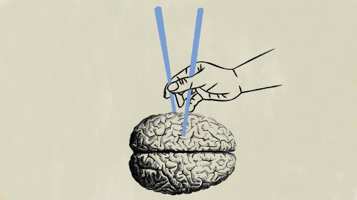 Neurowissenschaften: Wie sich Ernährung auf unser Denken auswirkt