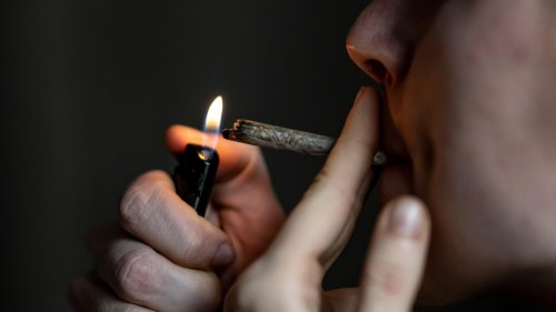 Drogenpolitik - Zahlreiche Verbände begrüßen die teilweise Legalisierung von Cannabis und weisen Kritik daran zurück