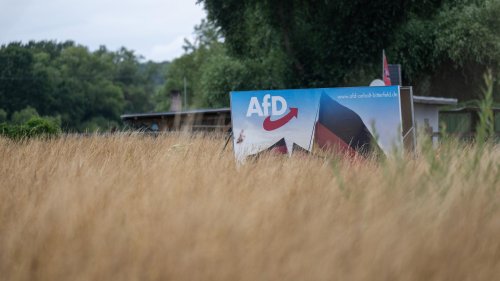 Ostdeutschland: AfD in ihren Wahlhochburgen offenbar im Abwind