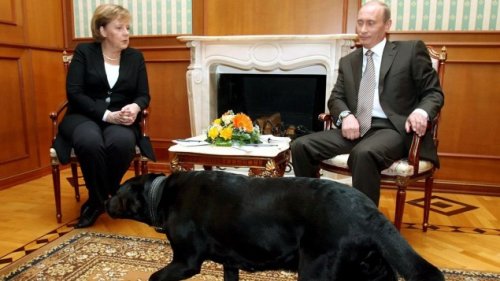 Keine Angst vor Putins "Testosteron-Leadership"