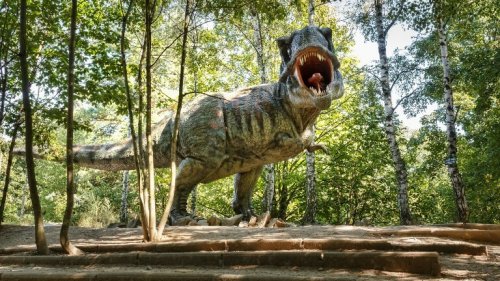 Schätzungen: Rund 2,5 Milliarden T-Rex haben auf der Erde gelebt
