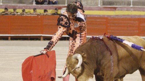 Richter verbietet Events in weltgrößter Stierkampfarena in Mexiko-Stadt