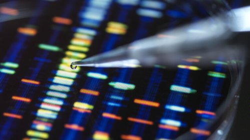 Aussagekraft von Online-Gentests sind begrenzt
