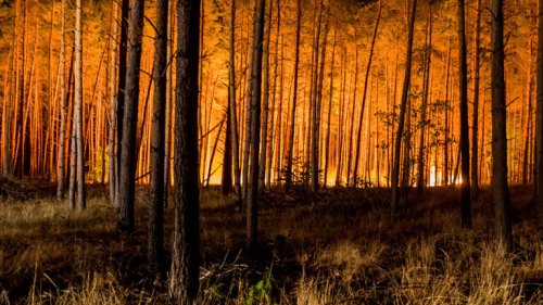 Mehr extreme Waldbrände in Europa
