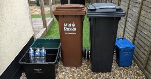 Mid Devon to consider household recycling collections every week