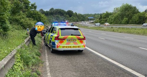 M5 driver spotted 'drinking at wheel' fails alcohol and drugs test