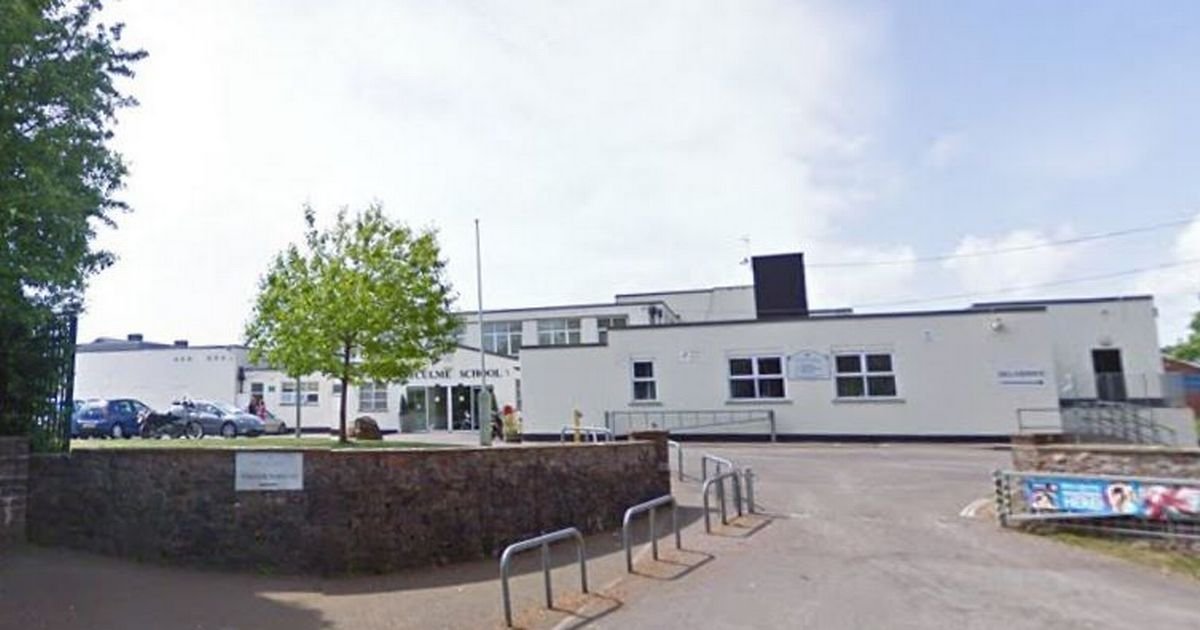 Pupils wear success like a badge at high-achieving secondary | Devon Live