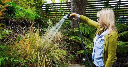 Warning issued as millions of homes face hosepipe bans