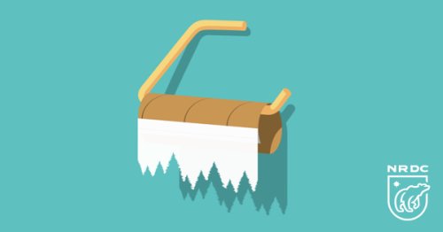Canada's Boreal Forest Is Being Turned Into Toilet Paper
