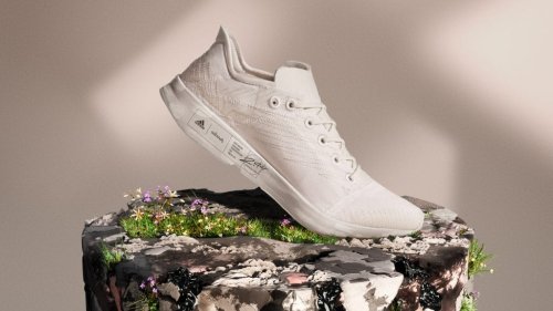 Natural materials "lack investment and focused innovation" says Allbirds sustainability head