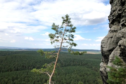 Harz erkunden: Wandern rund um den Regenstein