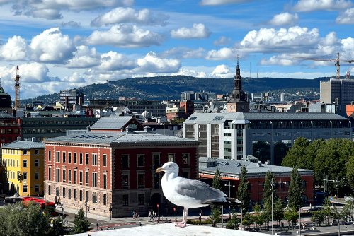 Oslo Städtereise: 24 Stunden in der norwegischen Hauptstadt · Die Gradwanderung