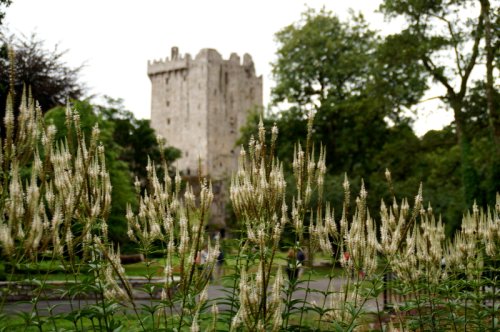 5 verwunschene Burgen und Burgruinen in Südirland · Die Gradwanderung