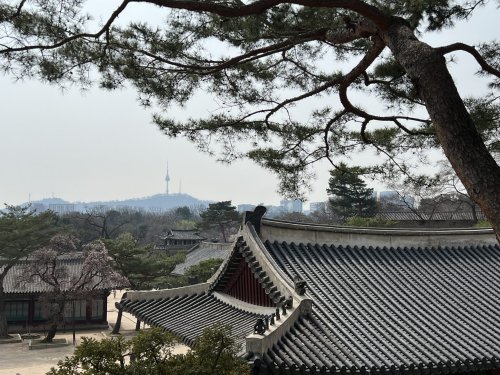Seoul Reisetipps: Sehenswürdigkeiten & Highlights · Die Gradwanderung