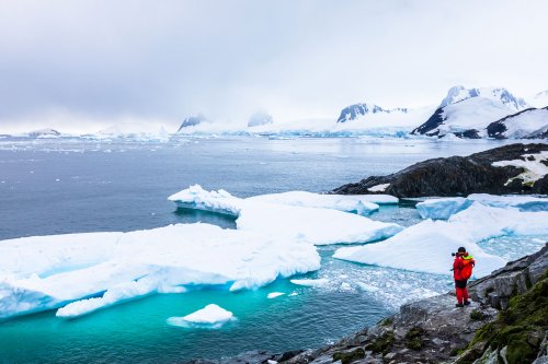 Esplorare l’Antartide con l’aiuto dei probiotici