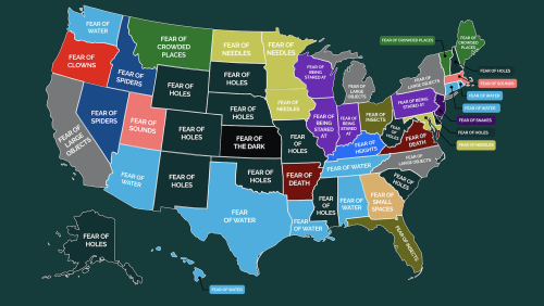 The Most Common Phobias In The United States, Mapped