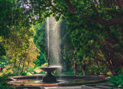 The Most Beautiful Public Gardens Around The World, According To Tourists