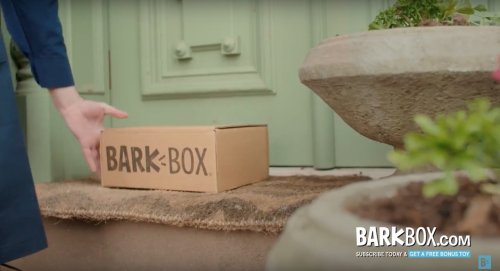 BarkBox cuts Facebook spending in favor of traditional channels
