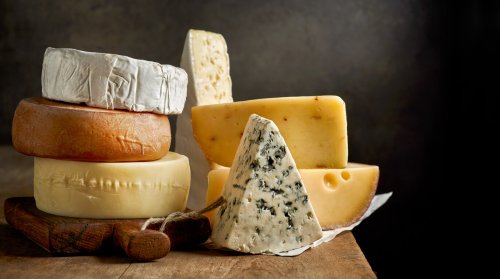 Say Cheese: The Best Gourmet Cheese That You Should Try