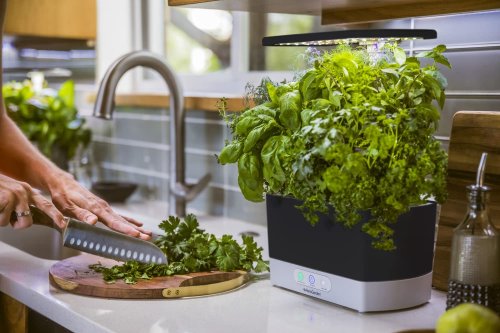 AeroGarden Smart Garden Review: hydroponics for dummies