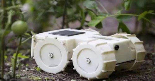 Forget weedkillers — let the Tertill robot keep your garden clear of weeds