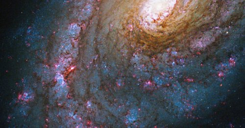 Peruse Hubble images of beautiful astronomical objects visible in the night sky
