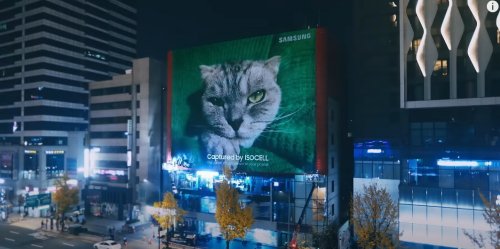 La enorme foto del gato de Samsung adelanta la cámara del Galaxy S23