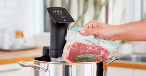 This smart sous vide cooker is $200 off in 1-day flash sale