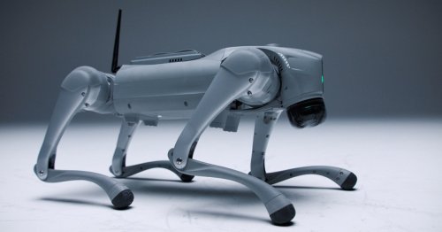 Watch a robot dog learn to stand and walk thanks to its ‘digital brain’