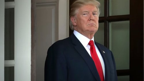 Unprecedented trailer looks at Trump’s final year in office