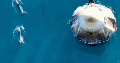 Watch these curious dolphins greet returning Crew-9 astronauts