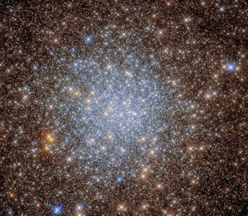 Hubble captures a glittering cluster of thousands of stars