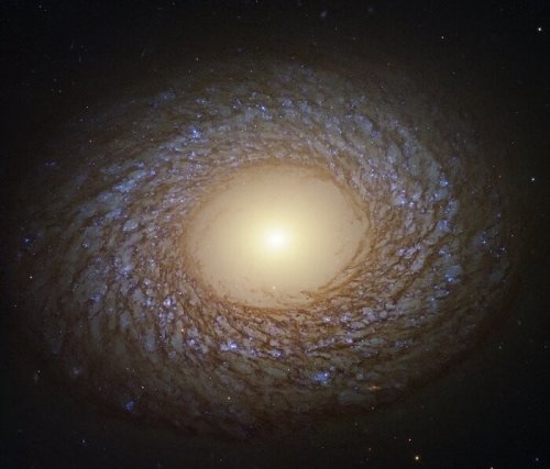 Woolly galaxy captured by Hubble has an enormous bulge in the middle