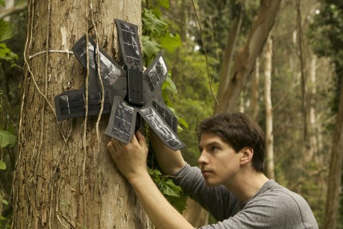 These geeky eco-warriors want your old phone to help stop illegal deforestation