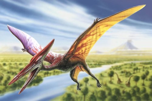 RAPTOR WORLD - cover