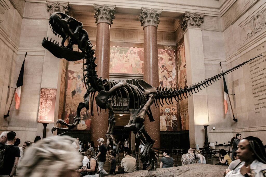 7 Must See Dinosaur Exhibits in Museums Around the World