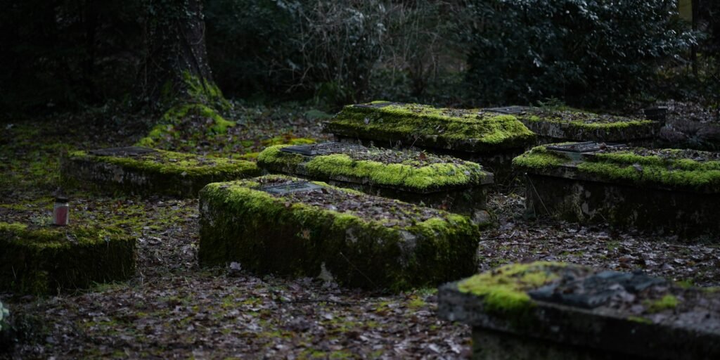 14 Things Growing on Old Gravestones Across America – Dino World