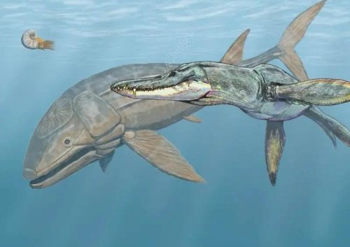 Prehistoric Sea MOnsters - cover