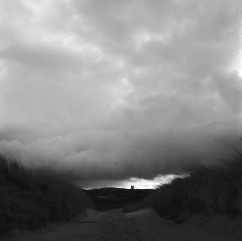 Helgoland, analog und im Winter
