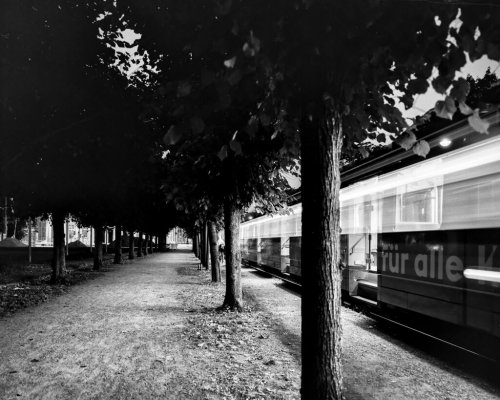Verbessere deine fotografischen Fähigkeiten – Lektion KONTRAST