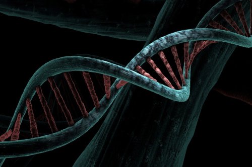 Unlocking the Mysteries of the Human Genome What We Have Learned From Next Generation Sequencing