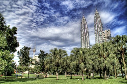 Why Malaysia’s Trees Explode (and It’s Not Even the Most Violent Plant Here)
