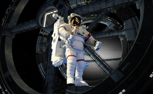 The Possibility of Extraterrestrial Life and What It Means for Earths Wildlife